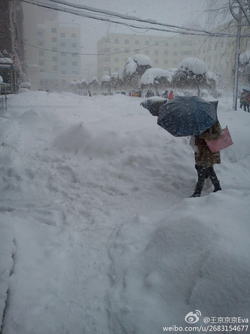 暴雪再襲黑龍江 哈爾濱市內(nèi)汽車單雙號限行