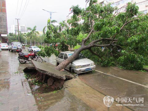 “海鷗”風雨漸消 重慶等地降雨較強