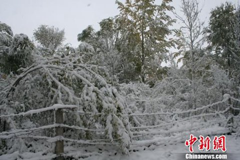 7省市霾持續(xù) 新疆多地降下初雪