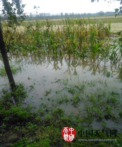 中東部降雨消減 西北氣溫明顯偏高