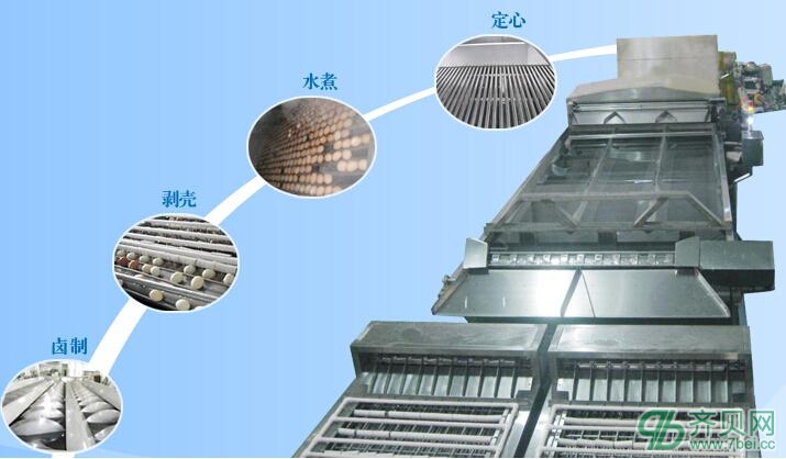 禽蛋清洗機(jī)