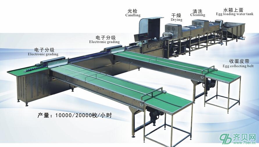 禽蛋清洗機(jī)