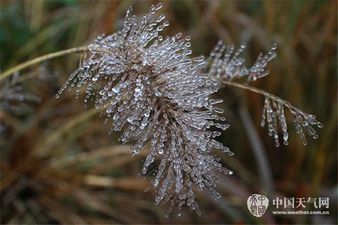 華北黃淮霾漸重 南方雪轉(zhuǎn)雨濕冷持續(xù)