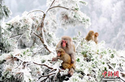 西南地區(qū)持續(xù)雨雪 華北東北迎大風(fēng)降溫