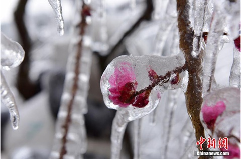 全國大部乍暖還寒 長江中下游持續(xù)陰雨雪