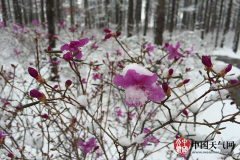 江南華南強(qiáng)降雨持續(xù) 【3省】有大暴雨