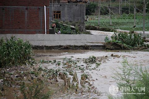 湖北安徽等迎大到暴雨 華北東北多雷陣雨