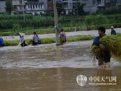 華南局地大暴雨 華北降雨增強多地中雨