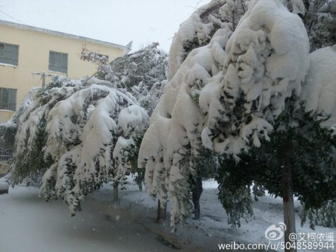 下半年來最強(qiáng)冷空氣來襲 北方降溫【4-8℃】