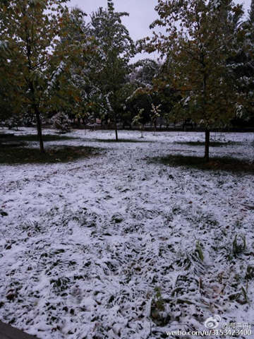 新疆迎下半年來最強(qiáng)降雪 四川盆地【暴雨】