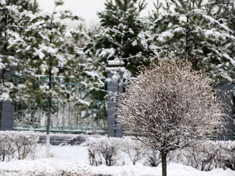 西北多地迎下半年首場(chǎng)雪 【廣西】局地暴雨