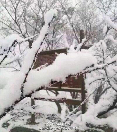 東北華北等地雨雪盛行 南方陰雨纏綿