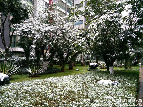 未來三天江南華南天氣晴冷  西南多陰雨