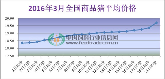 2016年3月全國商品豬平均價(jià)格.jpg