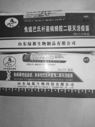 洛陽養(yǎng)殖戶買到假疫苗 800只獺兔打疫苗后死亡