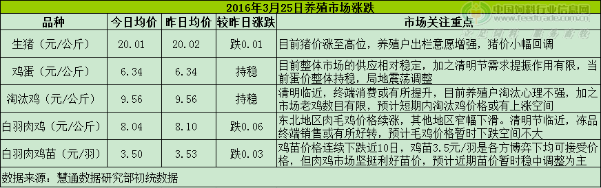 雞評(píng).png