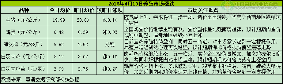 雞評(píng).png