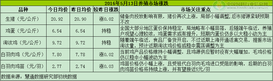 雞評(píng).png