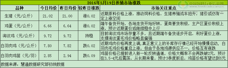 雞評(píng).png