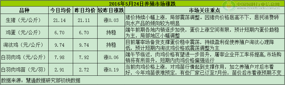 雞評(píng).png